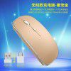 Manufacturer's stock new type-C wireless mouse + 2.4G dual receiver charging mute for cross-border E-commerce