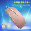 Manufacturer's stock new type-C wireless mouse + 2.4G dual receiver charging mute for cross-border E-commerce