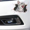 3D simulation cute cat personality creative car stickers dog glass stickers door scratches decorative shielding