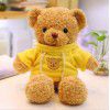 Sweater, bear doll, teddy bear, plush toys, doll grabbing machine, doll, children's doll, birthday gift wholesale