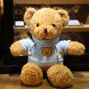 Teddy bear doll Teddy Bear Plush Doll teacher's Day gift to girlfriend night market wholesale