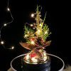 Custom Amazon Europe and America hot Christmas gifts lighting decorations simulation Christmas tree decoration LED lamp glass cover
