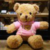 Teddy bear doll Teddy Bear Plush Doll teacher's Day gift to girlfriend night market wholesale