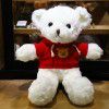 Teddy bear doll Teddy Bear Plush Doll teacher's Day gift to girlfriend night market wholesale