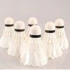 Eric badminton badminton 6 sets badminton stable training ball 701a goose feather King