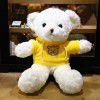 Teddy bear doll Teddy Bear Plush Doll teacher's Day gift to girlfriend night market wholesale