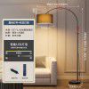 Feather floor lamp Bedroom Sofa bedside living room modern simple light luxury led eye protection