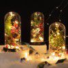 Custom Amazon Europe and America hot Christmas gifts lighting decorations simulation Christmas tree decoration LED lamp glass cover