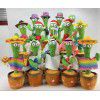 Tiktok: with the same style, online celebrities will dance. Cactus twists. Cactus twists will sing and dance. Birthday gifts swing