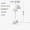 (daily sales 500) Denmark modern simple flower bud table lamp rechargeable bedroom study bedside atmosphere network red light