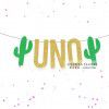 Festive party decoration Mexican cactus birthday flag pulling finalfiesta alphabet flag