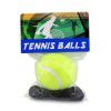 Beginner training tennis with rope (2 sets of tennis trainers)