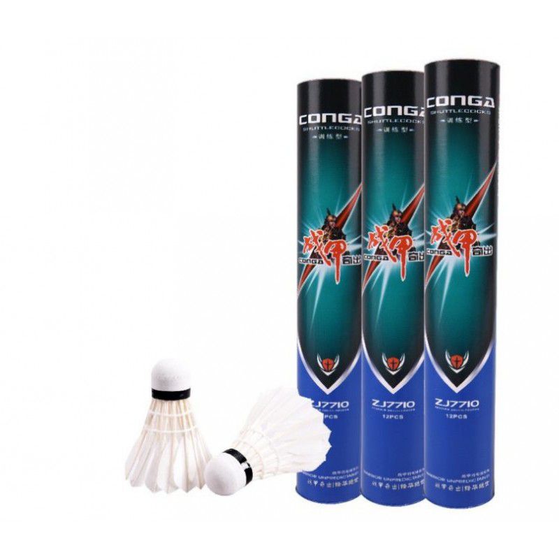 Battle a: Badminton 12 pi...