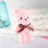 Teddy bear plush toys, conjoined bear dolls, teddy bear toys, small gifts manufacturers, wholesale and direct sales, key chain pendant