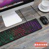 Factory wholesale silent bass keyboard retro punk dot wired interface desktop notebook general