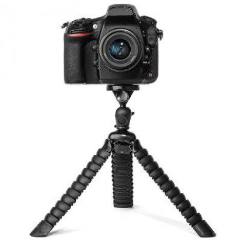 Country Squire Florist: Louisville Florists convallis purus