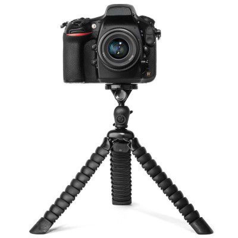 Country Squire Flori...